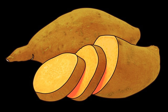 The Paw-fect Treat: Why Sweet Potato, Carrot & Apple Dog Treats Are a Game-Changer