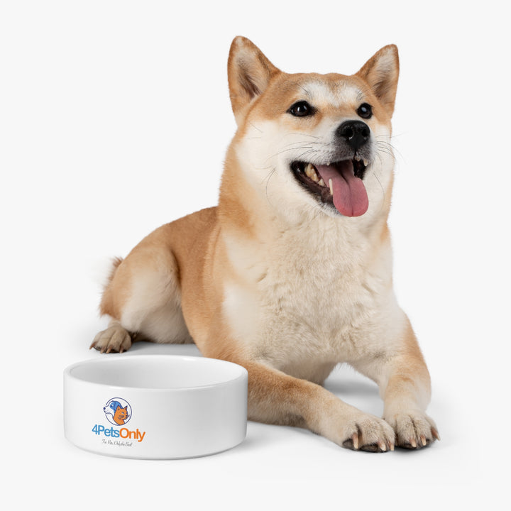 4PetsOnly Personalized Pet Bowl