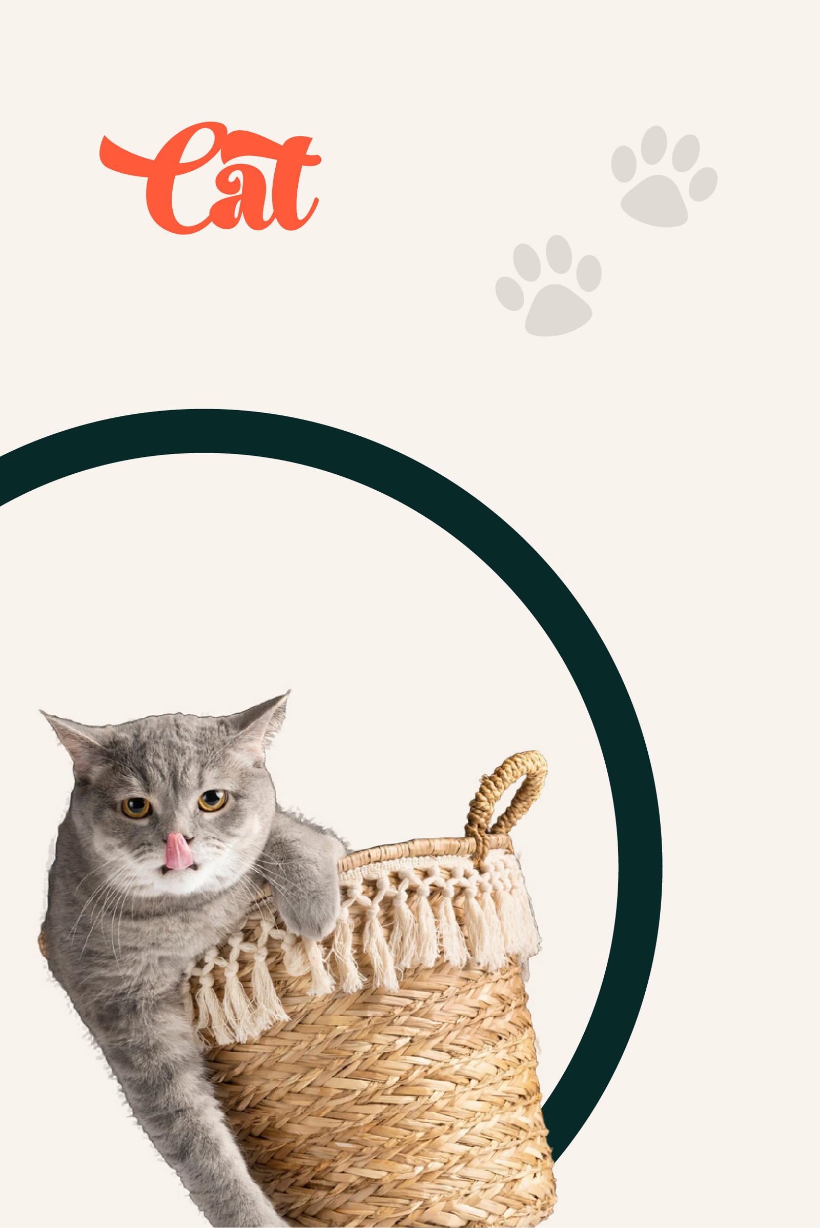 Shop Cats at Pets4Best with stylish apparel and beds.