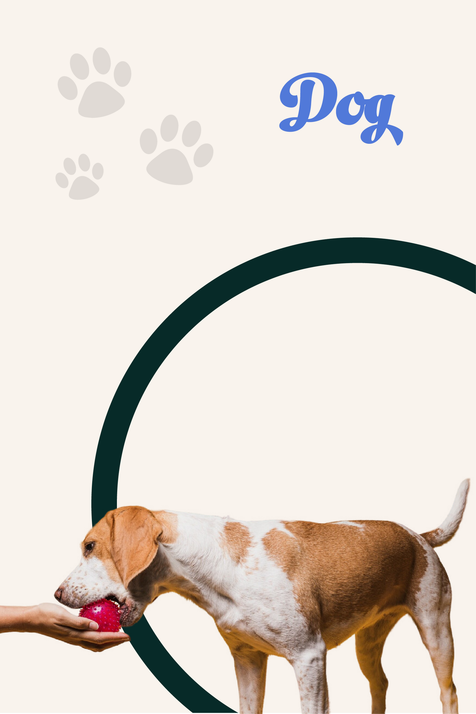 Shop Dogs at Pets4Best with premium treats and apparel.