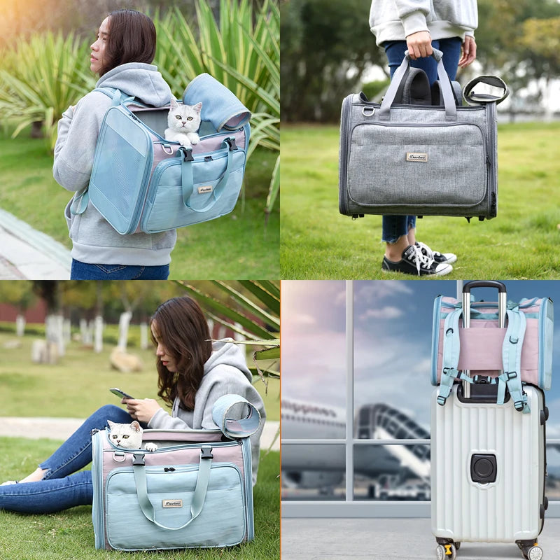 Truelove Pet Backpack Outdoor Hiking Hands Free Breathable Portable Adjustable Puppy Dog Cat Pet Carrier Bag Travel Backpack