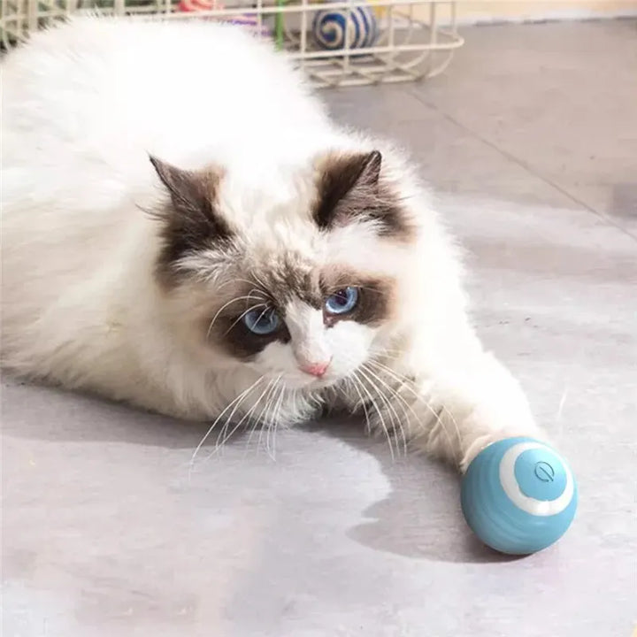 4PetsOnly Interactive Smart Cat Ball Toy - Self-Moving, Rechargeable