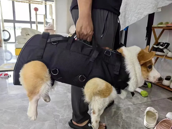 4PetsOnly Pet Travel Backpack - Breathable, Durable Oxford Fabric for Cats & Dogs (3 Sizes)