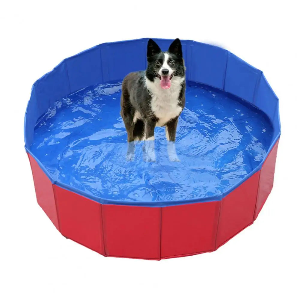 4PetsOnly Interactive Collapsible Cat Bath Pool - Portable, Pet-Safe