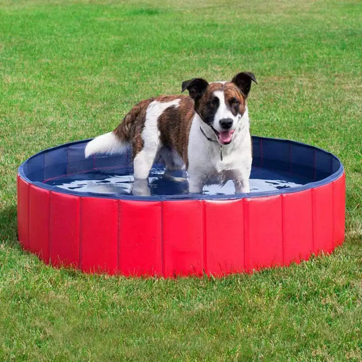 4PetsOnly Interactive Collapsible Cat Bath Pool - Portable, Pet-Safe